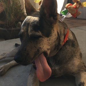 Meet your Posher, Brenna